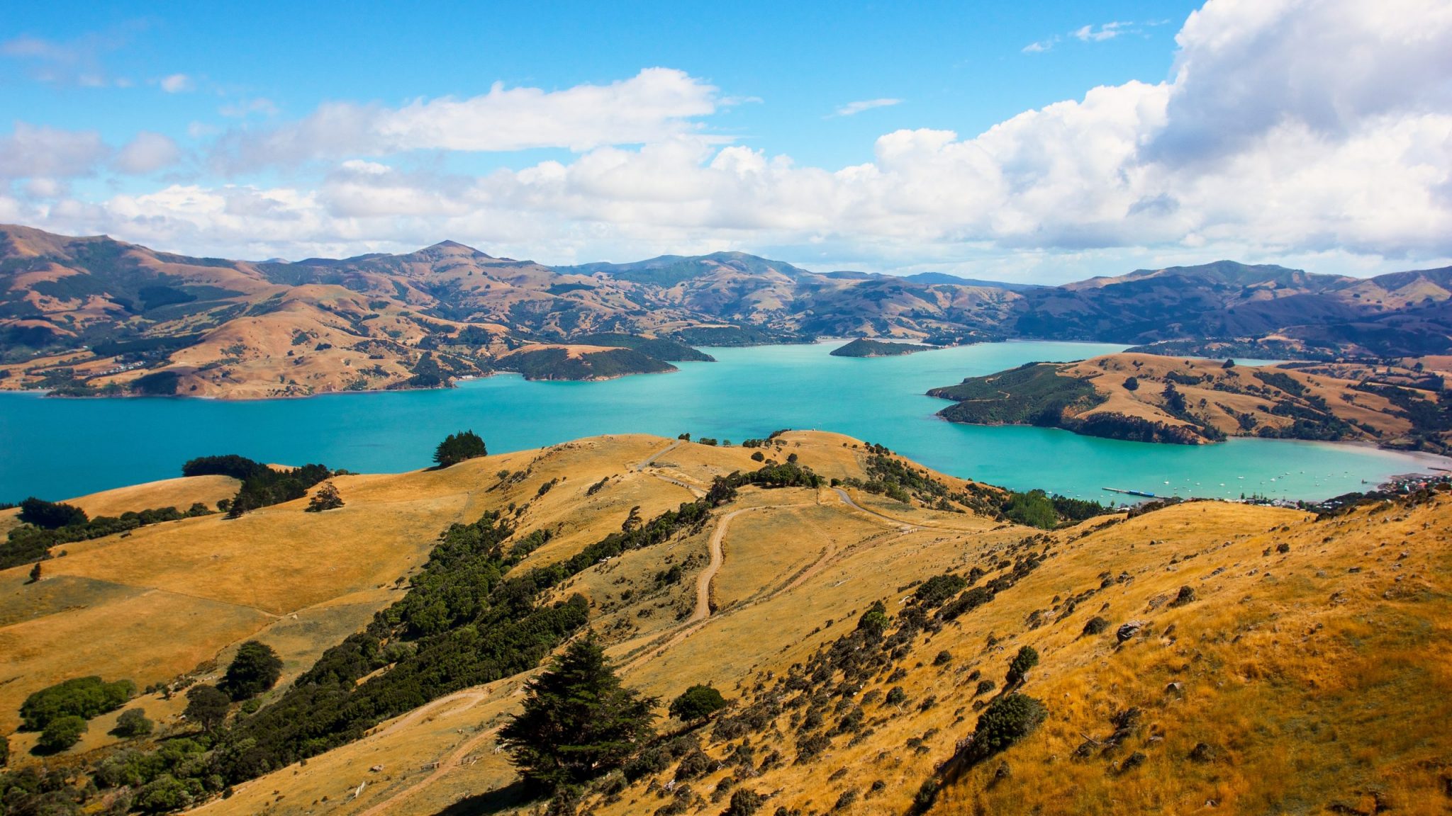 panorama nz