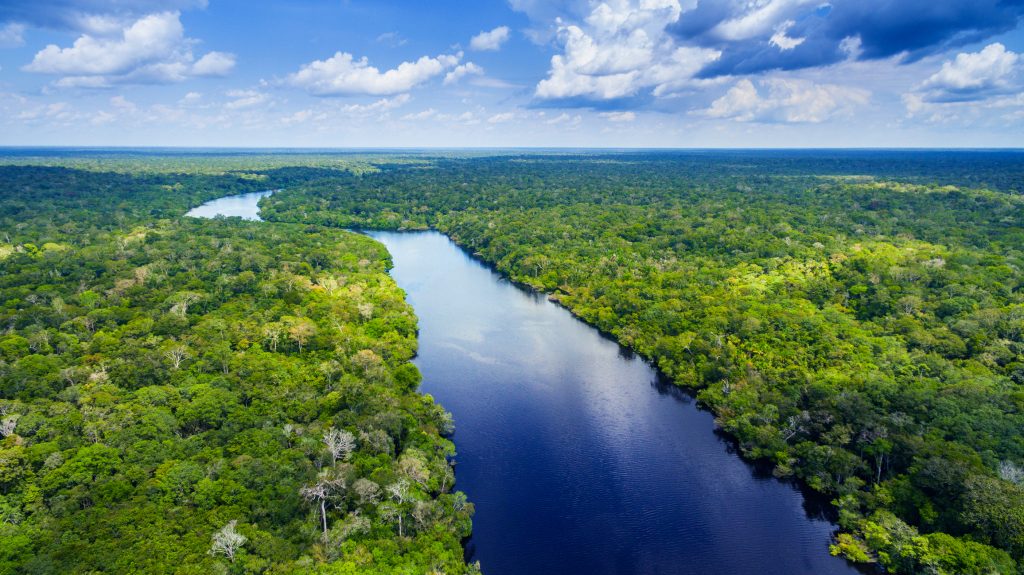 Cuyabeno Reserve